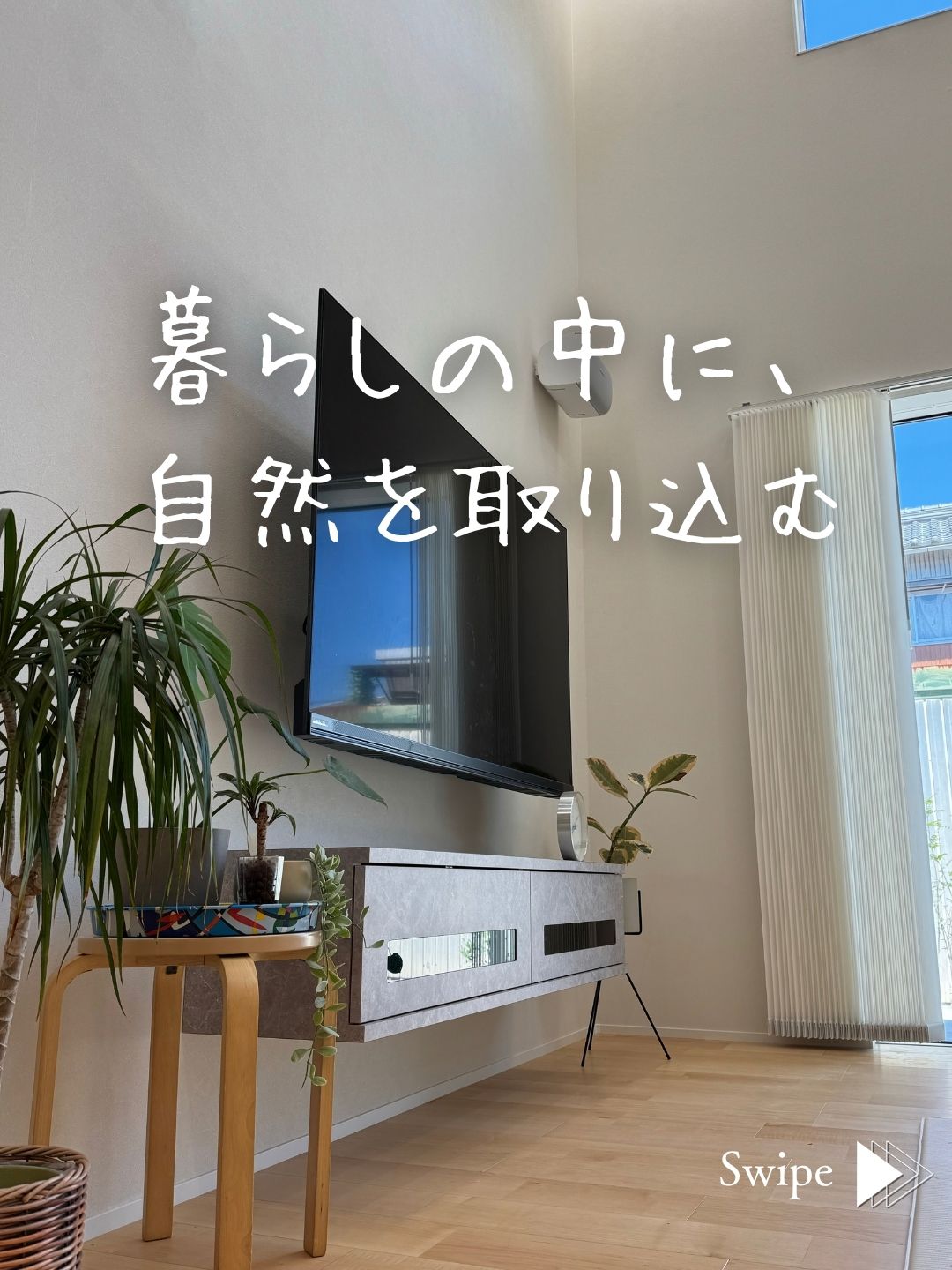 窓から光が入るリビングに置かれた植物。