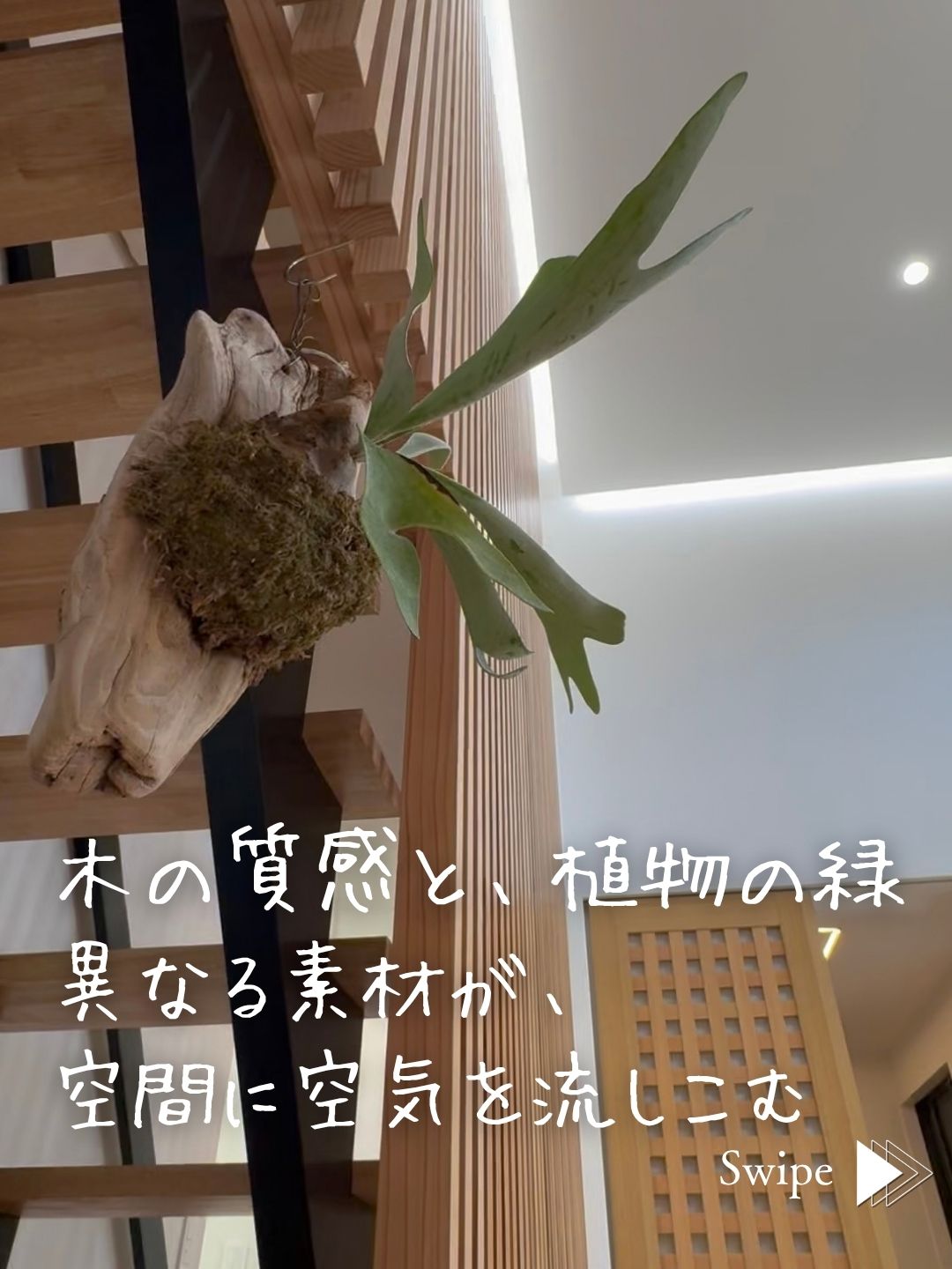木の階段と格子に調和する緑。