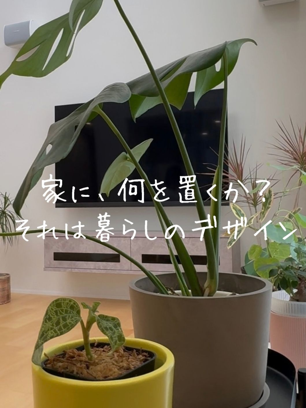 鉢植えの緑が重なるリビングの風景。