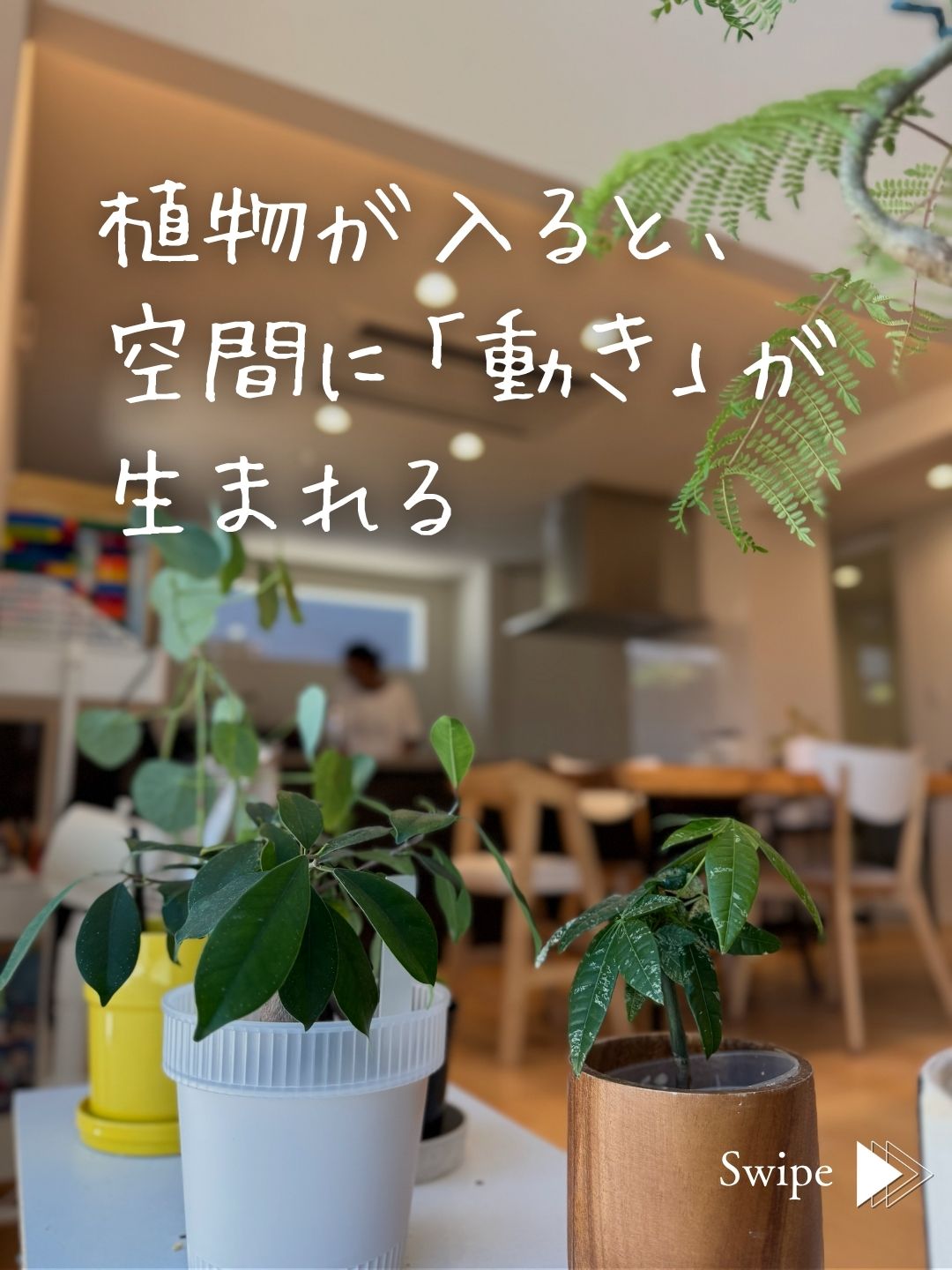 ダイニングの手前に置かれた観葉植物。